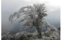 ĐẠI LÝ VÉ MÁY BAY TẠI CAO BẰNG