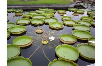 ĐẠI LÝ VÉ MÁY BAY TẠI ĐỒNG THÁP