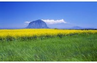 Vé máy bay đi Jeju