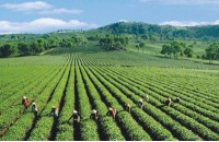 ĐAI LÝ VÉ MÁY BAY TẠI LÂM ĐỒNG