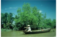 ĐAI LÝ VÉ MÁY BAY TẠI TIỀN GIANG